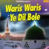 Waris Waris Ye Dil Bole
